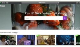 视频爆料素材网站大全免费,免费素材一网打尽